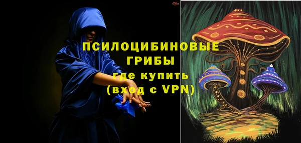 экстази Алексин