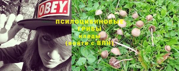 спиды Алзамай
