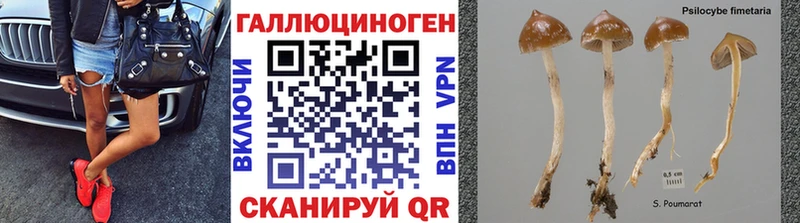 Галлюциногенные грибы Magic Shrooms  Вологда 