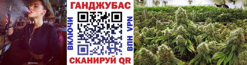 Бошки марихуана Amnesia Вологда